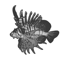 라이온 피쉬(Lionfish)